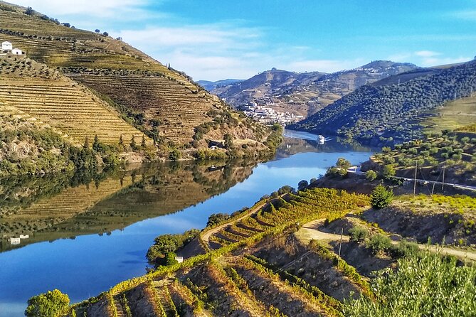 Porto: Private Douro Valley All Inclusive: Tastings, Lunch & Boat - Price, included perks, and who gets the best value