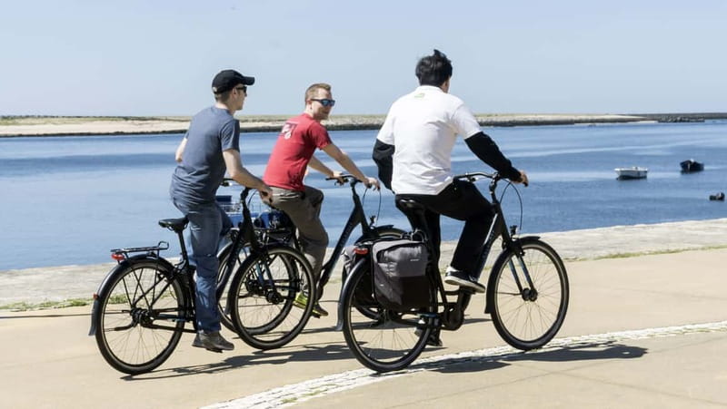 Porto Private E-Bike Tour: Douro River, Parks & Beaches - Key highlights worth planning for