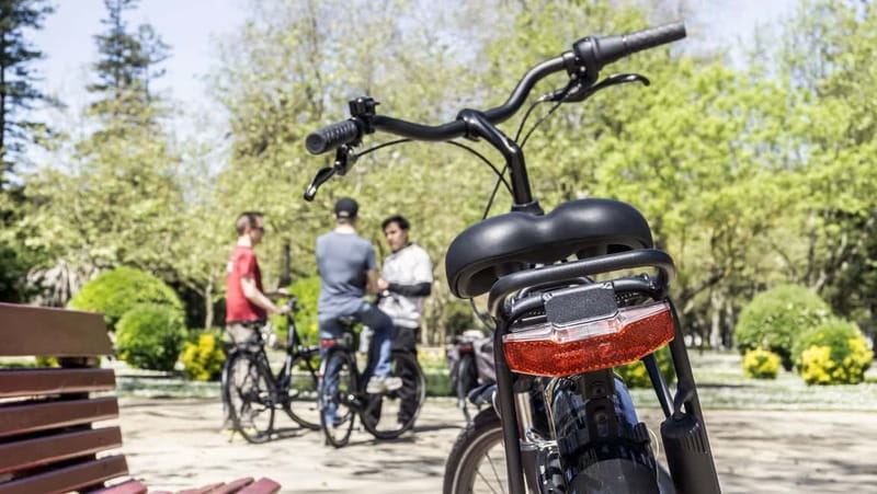 Porto Private E-Bike Tour: Douro River, Parks & Beaches - Mira street art to Alfândega: getting your bearings fast