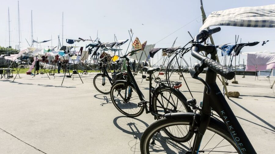 Porto Private E-Bike Tour: Douro River, Parks & Beaches - From Massarelos to the Arrábida Bridge: river landmarks in motion