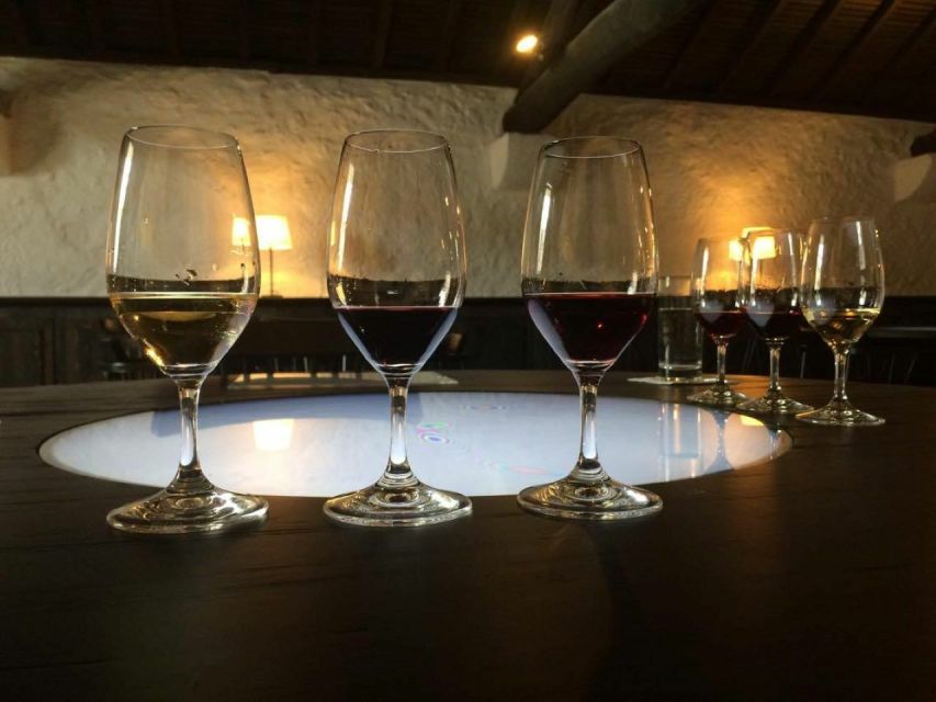 Porto: Private Guided Wine-Tasting Tour - Key highlights worth your time