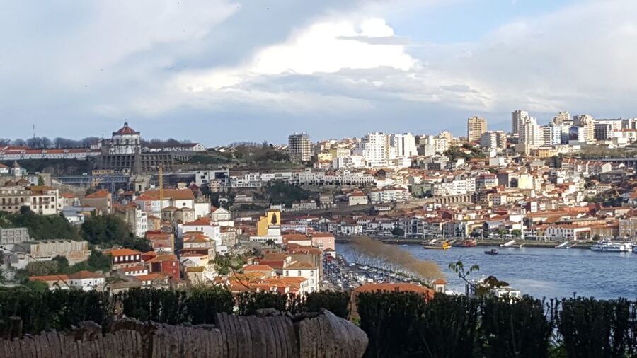 Porto: Private Half-Day as a Local Experience - Gardens of the Palácio de Cristal, Walks, and That Perfect Late-Day Pause