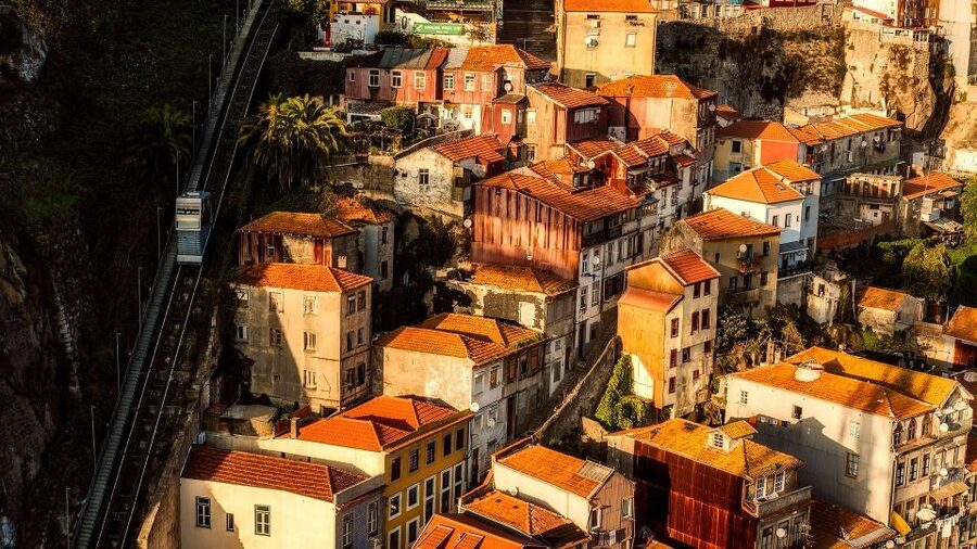 Porto Private Half Day Walking Tour: Cruise & Wine Tasting - Key things to know before you go