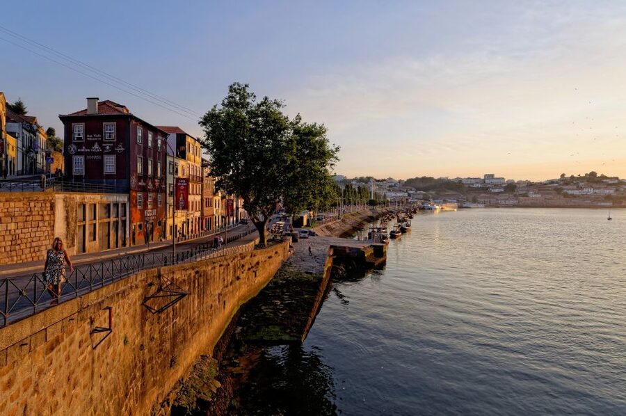 Porto Private Half Day Walking Tour: Cruise & Wine Tasting - Port wine cellar tasting in Vila Nova de Gaia: what you’re really paying for