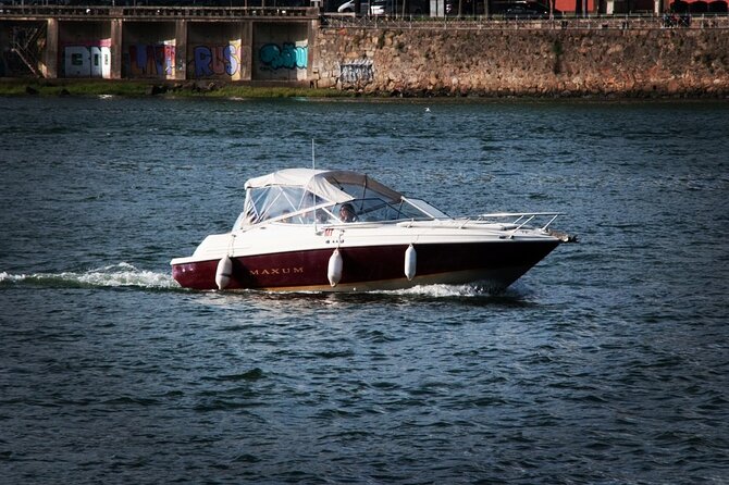 Porto : Private Tour to the Louis Bridge, group price up to 6px - Why a 1-hour Douro cruise is a smart Porto start