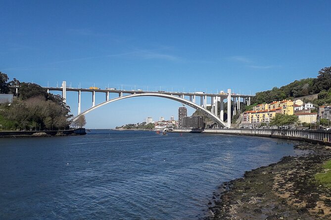 Porto Riverbank E-Bike Tour - Atlantic Coast, Gardens - Castelo do Queijo and Matosinhos port energy: beach life meets city structure