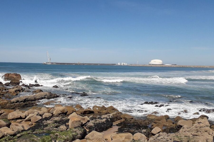 Porto Riverbank Tour on an e-bike: Atlantic Coast, Gardens - Jardim do Passeio Alegre: a garden break with big perspective