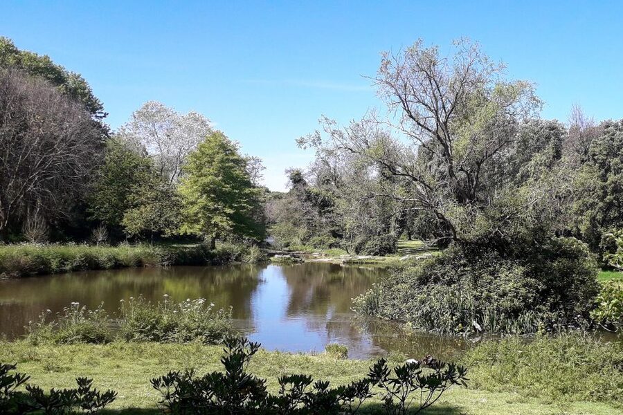 Porto Riverbank Tour on an e-bike: Atlantic Coast, Gardens - Foz do Douro and Castelo do Queijo: where the river meets the Atlantic