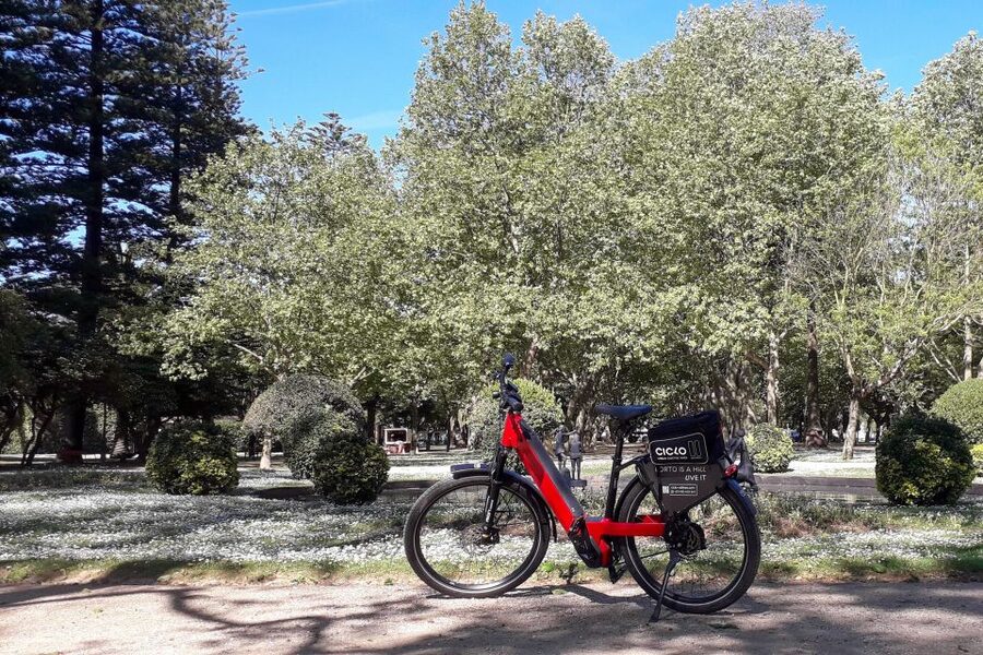 Porto Riverbank Tour on an e-bike: Atlantic Coast, Gardens - Matosinhos Beach: coast time without the long transport headache