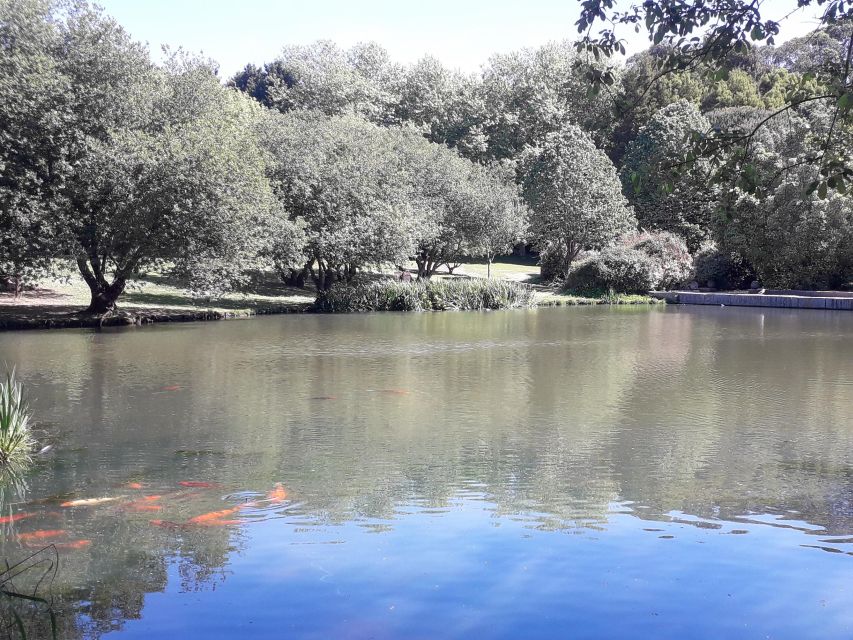 Porto Riverbank Tour on an e-bike: Atlantic Coast, Gardens - Back toward the center: Massarelos, then St Francis