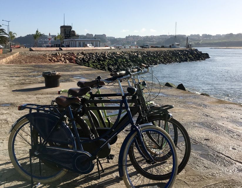 Porto: Riverside Panoramic E-Bike Tour - Arrábida Bridge: The Panoramic Moment That Explains the River’s Scale