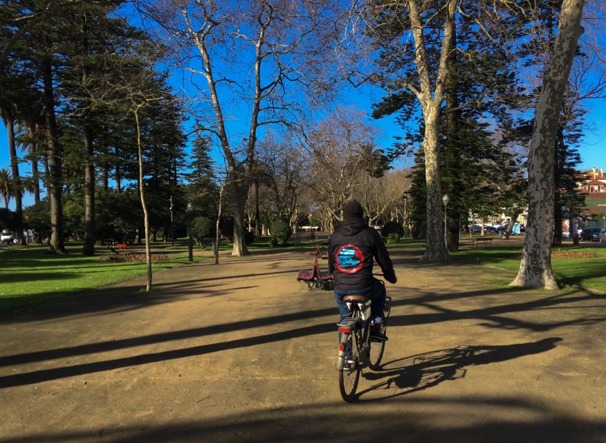 Porto: Riverside Panoramic E-Bike Tour - Pacing, Guides, and Why the Best Ones Make It Feel Personal