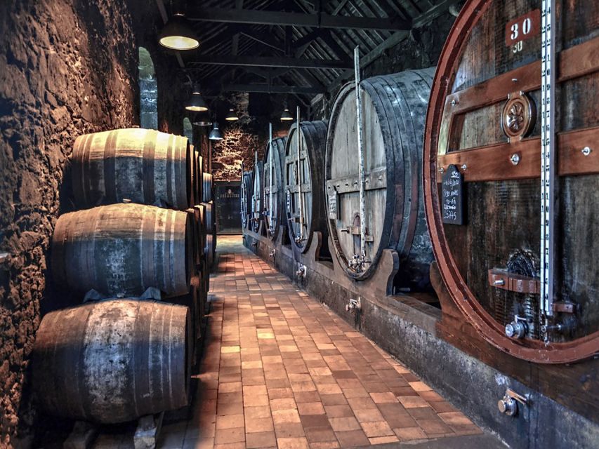 Porto: Self-Guided Bike and Boat Tour with Port Wine Tasting - Afurada Stop: Food in a Fishing Village Vibe