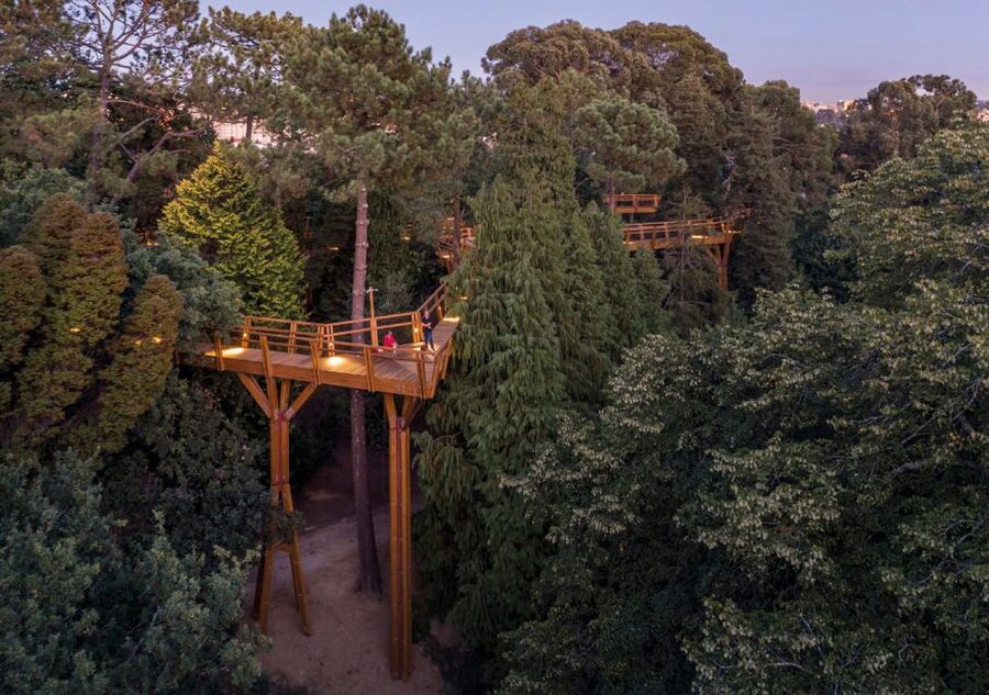 Porto: Serralves Park Entry Ticket - Landscape gardening lessons, from the 19th and 20th century to today