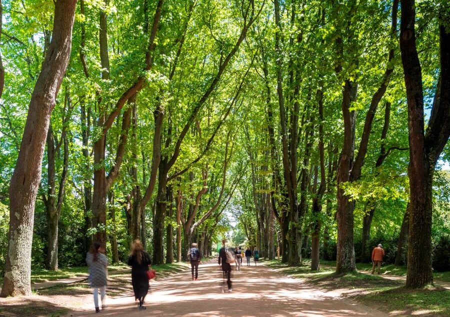 Porto: Serralves Park Entry Ticket - The house and art exhibition stop you might actually remember