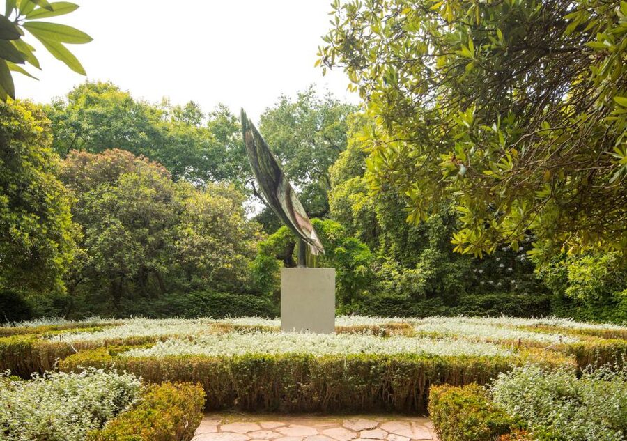 Porto: Serralves Park Entry Ticket - 18 hectares and 8,000 plants: the biodiversity angle that feels real