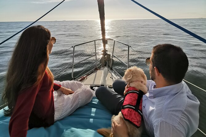 Porto: Sunset or Daytime, Charming Sailboat Cruise on the Douro River - Gardens of the Crystal Palace: a calm pause with viewpoints
