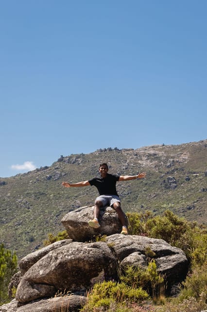 Porto: swimming, hiking, picnic in Gerês National Park - Lunch picnic in the park: Portuguese comfort food, not airline-style