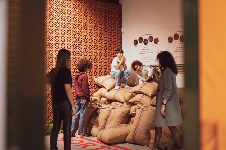 Porto: Taylor’s Port Cellar Tour & WOW Museum Pack - What Is Included, and What You Should Expect to Pay For On Your Own