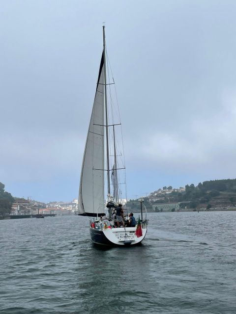 Porto: The Best Douro Boat Tour - The Best Stretch: Arrábida Bridge to Palácio de Cristal Gardens