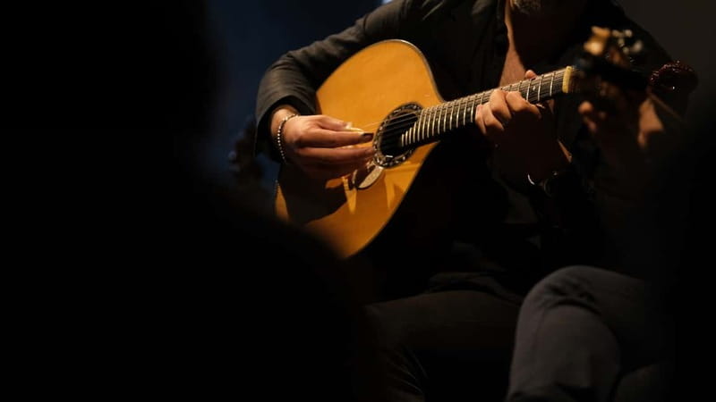 Porto: The highest-rated traditional fado concert (downtown) - A Downtown Porto Room Built for Classic Fado