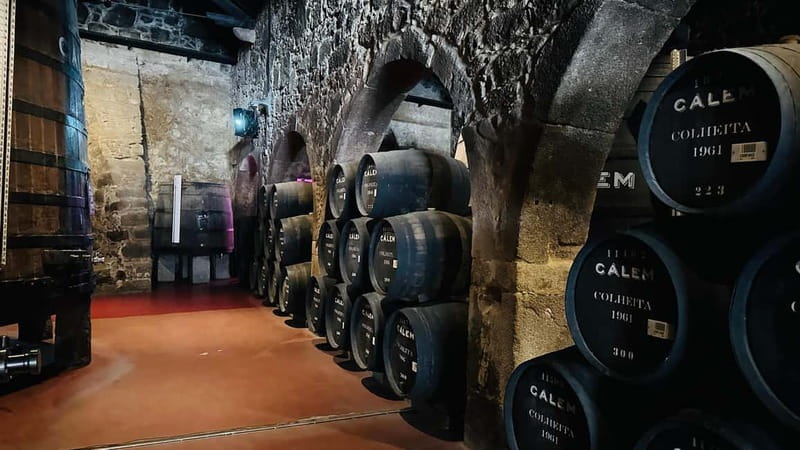 Porto to Gaia Experience: City Walk and Wine Cellars - Key highlights you will feel right away