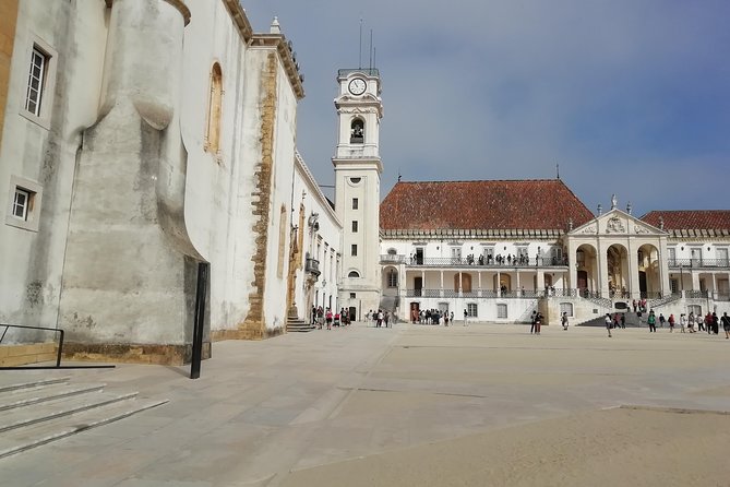 Porto to Lisbon up to 5 stops Aveiro Coimbra Fátima Nazaré Óbidos - Aveiro: Canal-Style City, Optional Boat Ride, and a Nice Stretch of Time