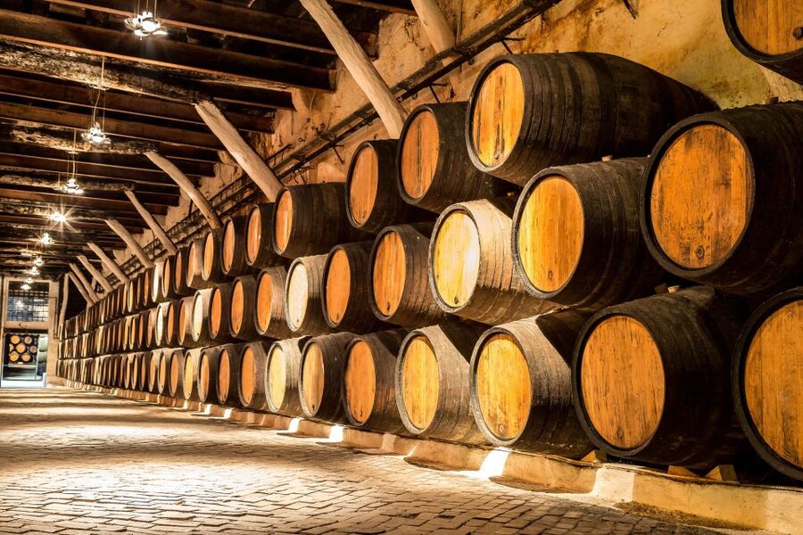 Porto: Tuk-Tuk Tour, Douro River Cruise, and Wine Tasting - The Porto city walking tour, useful right after you get your bearings