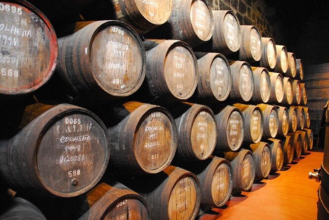 Porto: Visit and Wine Tasting at Taylor's Port Cellar - Key highlights to know before you go