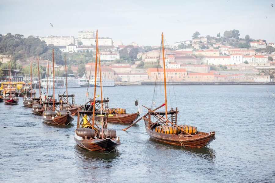 Porto Walking Tour of the city centre in small-groups - Douro, bridges, wine, and the Portugal timeline you need