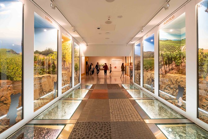 Porto: Wine Experience Museum with 3 Wine Tastings - Sensory stations: aroma challenges and flavor tests that actually help