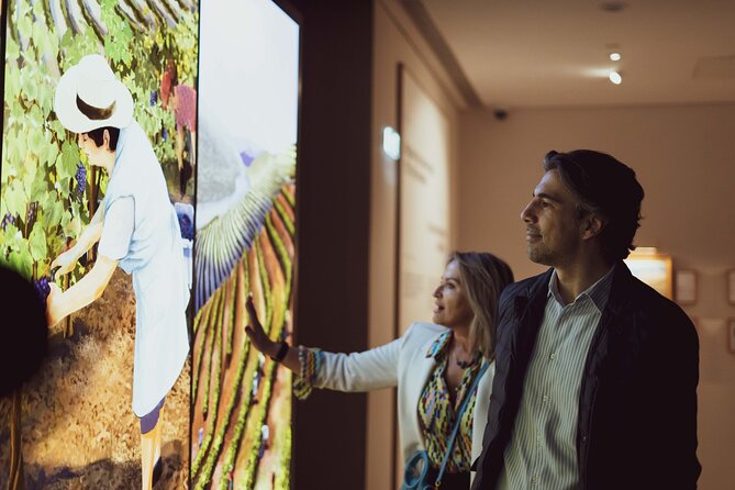 Porto: Wine Experience Museum with 3 Wine Tastings - Who should book this Porto wine museum experience