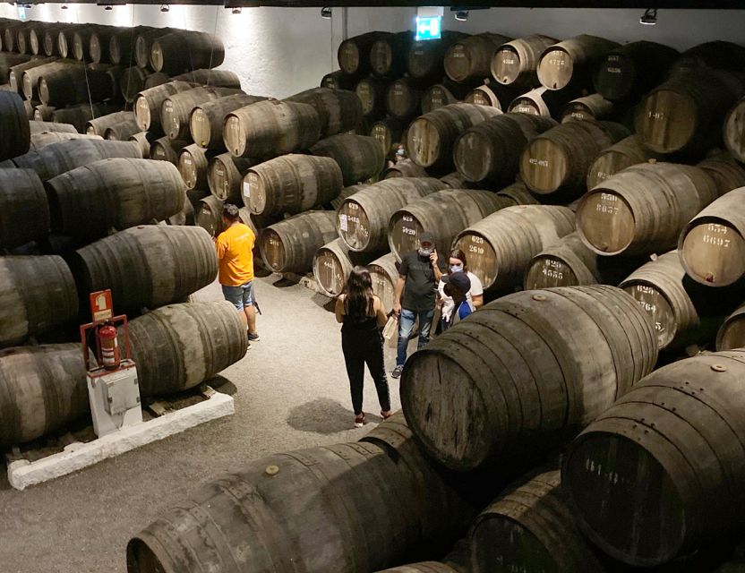 Porto: Wine Tasting with Tapas Walking Tour - Who This Porto Wine and Tapas Walk Fits Best