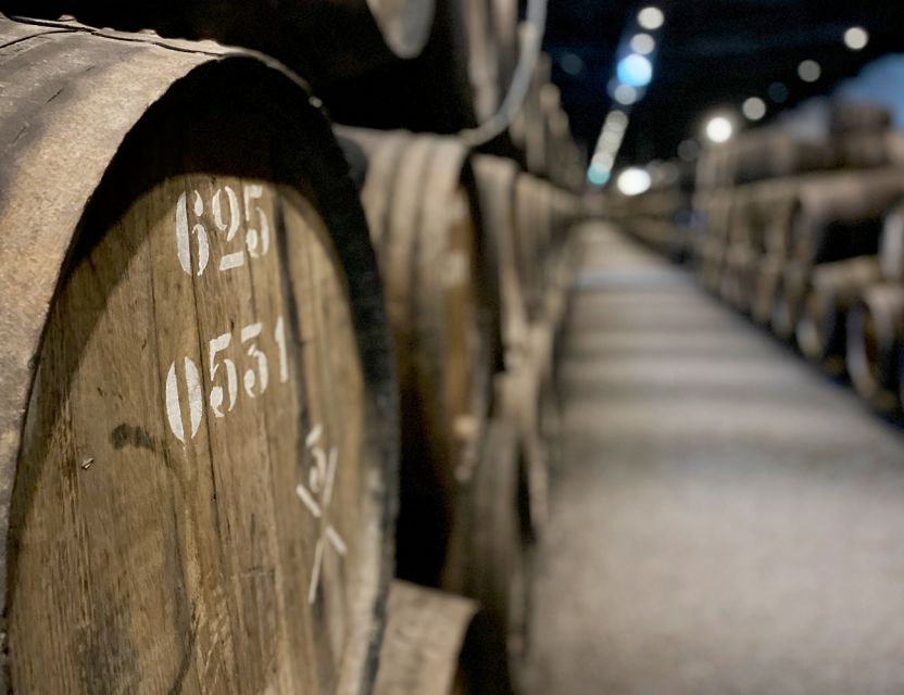 Porto: Wine Tasting with Tapas Walking Tour - Meeting Points and What to Expect From the Schedule