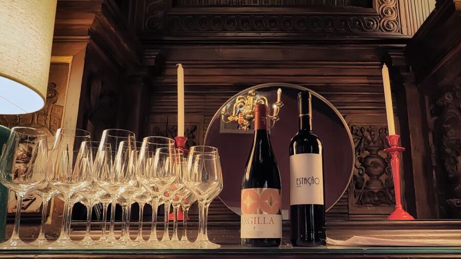 Porto: Wine Tour & One Hour Fado Show | All Included - The Porto district visit and scenic viewpoints, 30 minutes of city context