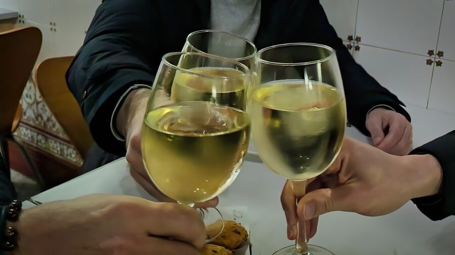 Porto: Wine Tour & One Hour Fado Show | All Included - A note on the guide experience that can make or break the night