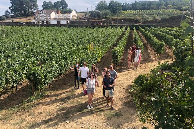 Premium Douro Valley Small-Group Tour, Wine Tasting, Lunch & Boat - The 8:30 am Start, Plus a 1h30 Drive That Sets the Tone