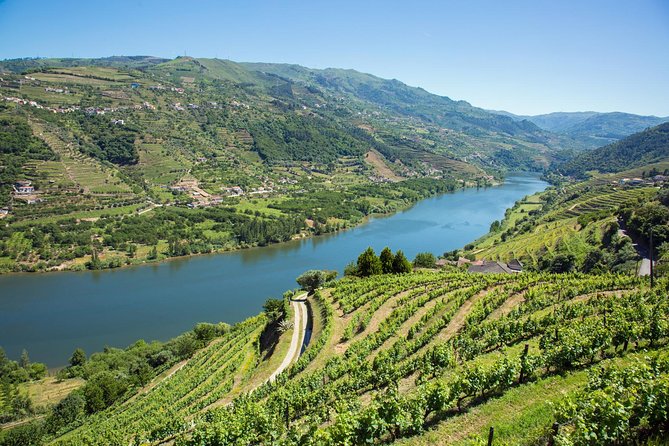 Premium Douro Valley Small-Group Tour, Wine Tasting, Lunch & Boat - The Wine, the Food, and the Small Details That Matter