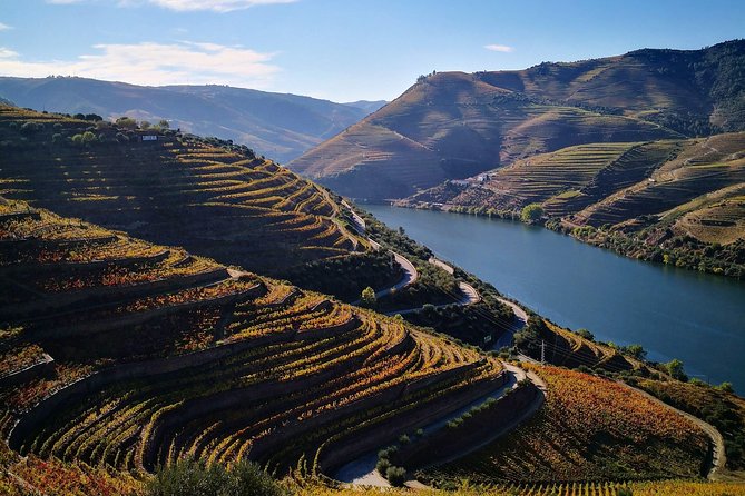 Premium Private Douro Tour: 3 Wineries with Tastings & Lunch - Key Highlights at a Glance