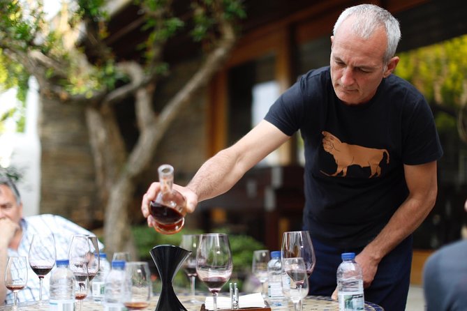 Premium Private Douro Tour: 3 Wineries with Tastings & Lunch - Why This Douro Tour Feels Different From the Usual Day Trips