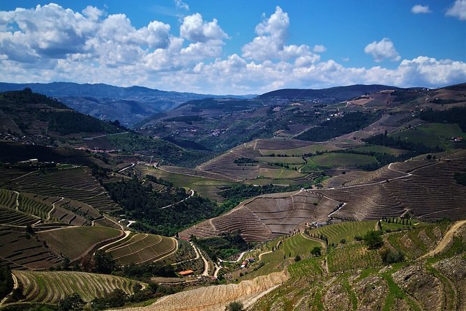 Premium Private Douro Tour: 3 Wineries with Tastings & Lunch - Quinta Seara dOrdens and the River Road: DOC, Port, and Extra Local Products