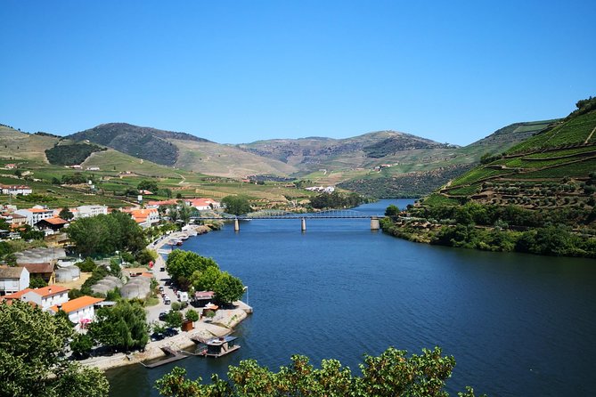 Premium Private Douro Tour: 3 Wineries with Tastings & Lunch - What You Actually Taste and Eat (And Why the Pairing Matters)