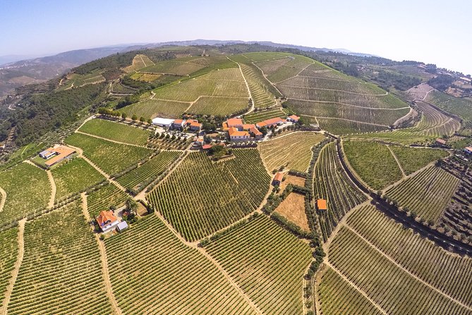 Premium Private Douro Tour: 3 Wineries with Tastings & Lunch - Guides and the Pace: Where the Tour Shines
