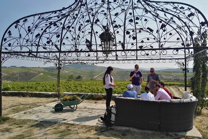 Premium Private Douro Tour: 3 Wineries with Tastings & Lunch - Getting East From Porto: The Drive, the Timing, and the Photo Stops
