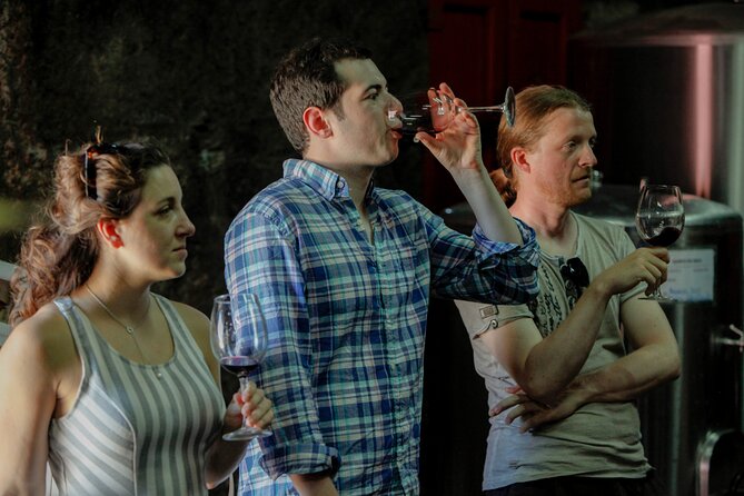 PREMIUM TASTING and TAPAS with GUIDED TOUR - Quinta do Beijo feels personal, not packaged