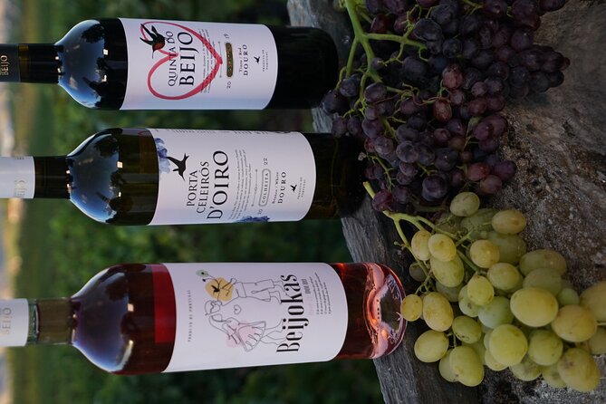 PREMIUM TASTING and TAPAS with GUIDED TOUR - What the 1 hour window feels like in real life