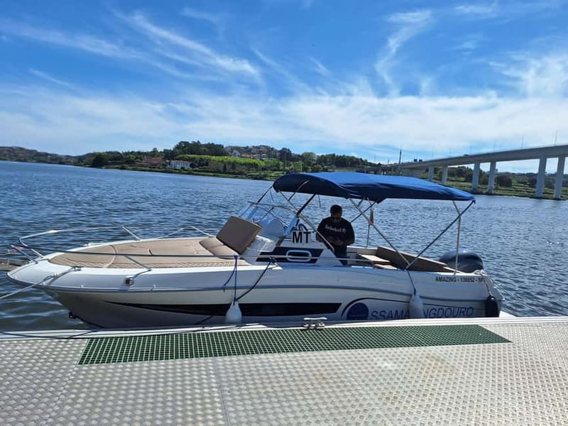 Private 6 Bridges Cruise in Porto with Optional Sunset - Why This Private 6 Bridges Cruise Feels Like the Smart Way to See Porto