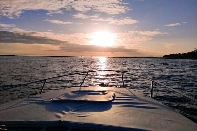 Private Boat Tour 6 Bridges and Ribeira option Sunset up to 6px - D. Luís Bridge: the iron deck levels you can actually see at once