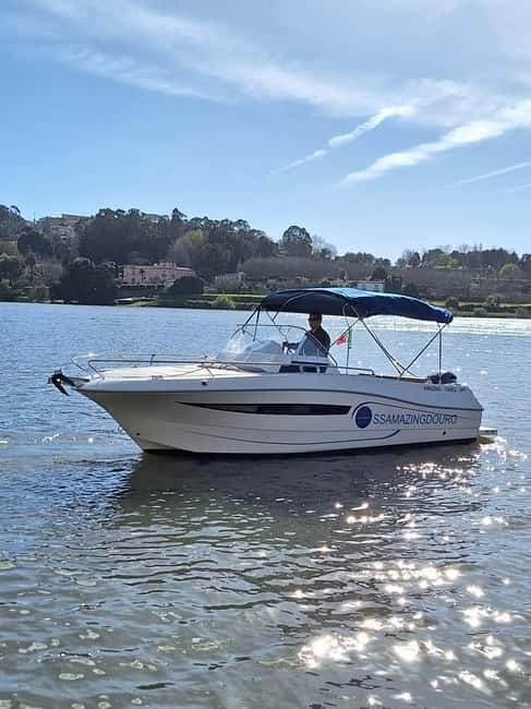 Private Boat Tour in Porto with Portuguese Tapas Option - From Marina do Freixo: why the Douro beats walking for Porto photos