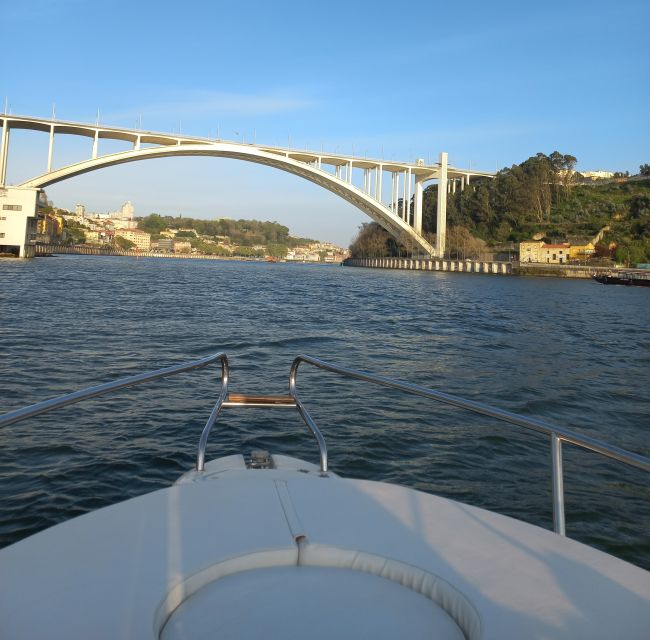 Private Boat Tour in Porto with Portuguese Tapas Option - Skippers, comfort extras, and how the ride actually feels